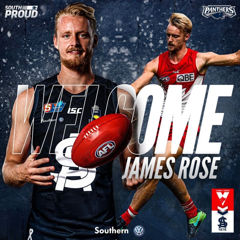 Rose to bloom as a Panther Rose to bloom as a Panther